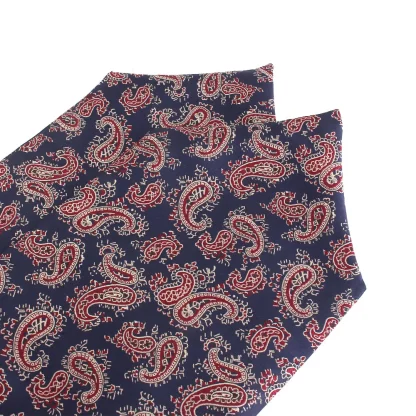 Retro Paisley Print Ascot Tie - Image 6